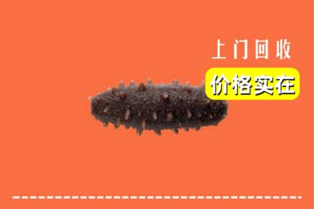阿坝红原县回收海参