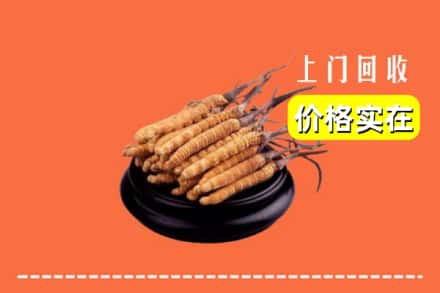 阿坝红原县回收冬虫夏草