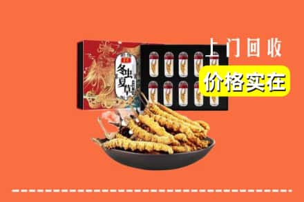 阿坝红原县回收虫草