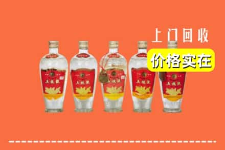 阿坝红原县回收老五粮液